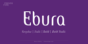Ebura PRO, a Sans Serif Font by preussTYPE (Thumbnail 1 of 10)