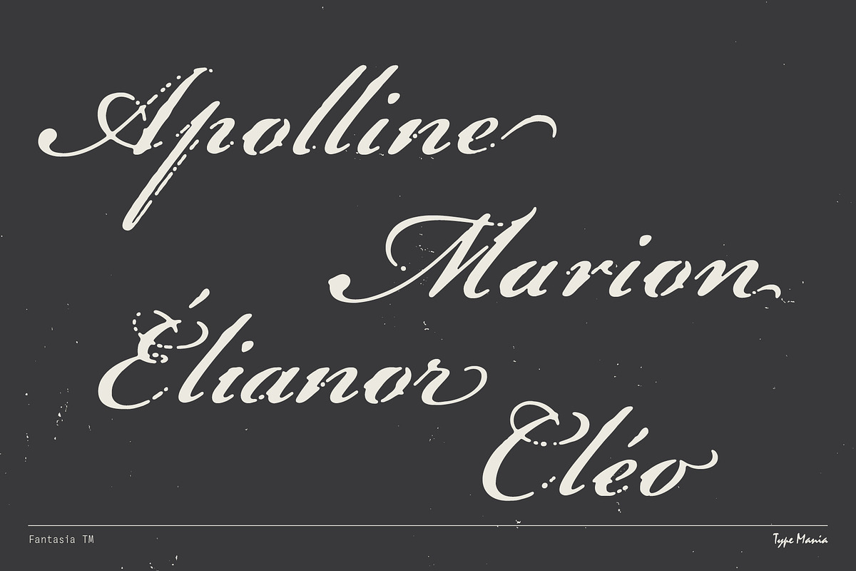 Fantasia TM – Dreamy Script, a Font by Type Mania (Photo 2 of 12)