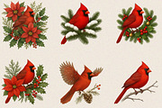 Christmas Red Cardinal Clipart Bundl, an Illustration by SVGArt (Thumbnail 7 of 8)