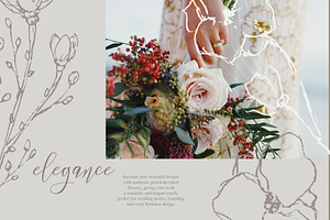 Graceful Floral Illustrations Bundle