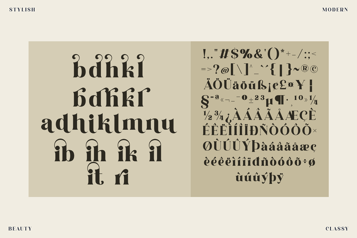 Claresicha - Serif Display Font, a Serif Font by overlaytemplates (Photo 6 of 6)
