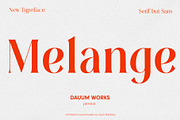 Melange - Serif Font Family, a Serif Font by Dauum Works (Thumbnail 1 of 14)