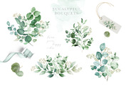 Scent of Eucalyptus - Graphic Set, an Illustration by studioequinox (Thumbnail 5 of 21)