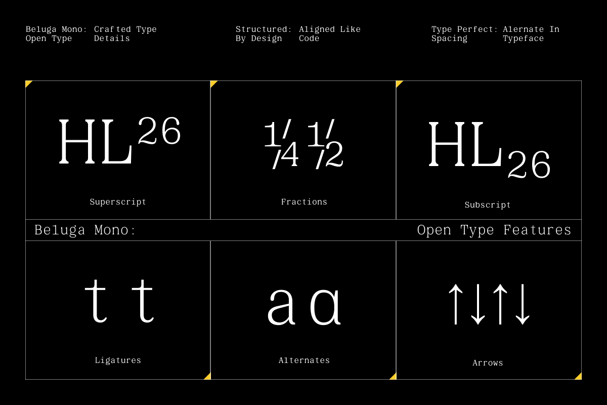 GC Beluga Mono - Elegant Modern Mono, a Serif Font by Glyphonic (Photo 7 of 15)