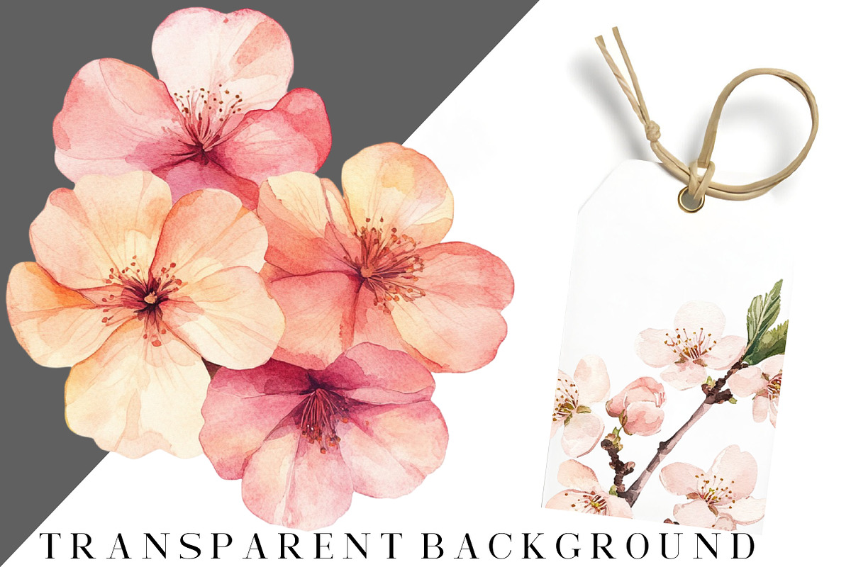 Pastel Watercolor Flower Clipart, an Illustration by DreamCafeArt (Photo 7 of 8)