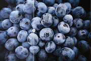 Blogger Bundle 135 Lightroom Presets, an Action Add-On by PhotoMarket (Thumbnail 50 of 94)