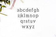 Ahijah A Clean Serif Font Family, a Serif Font by Creativetacos (Thumbnail 3 of 5)