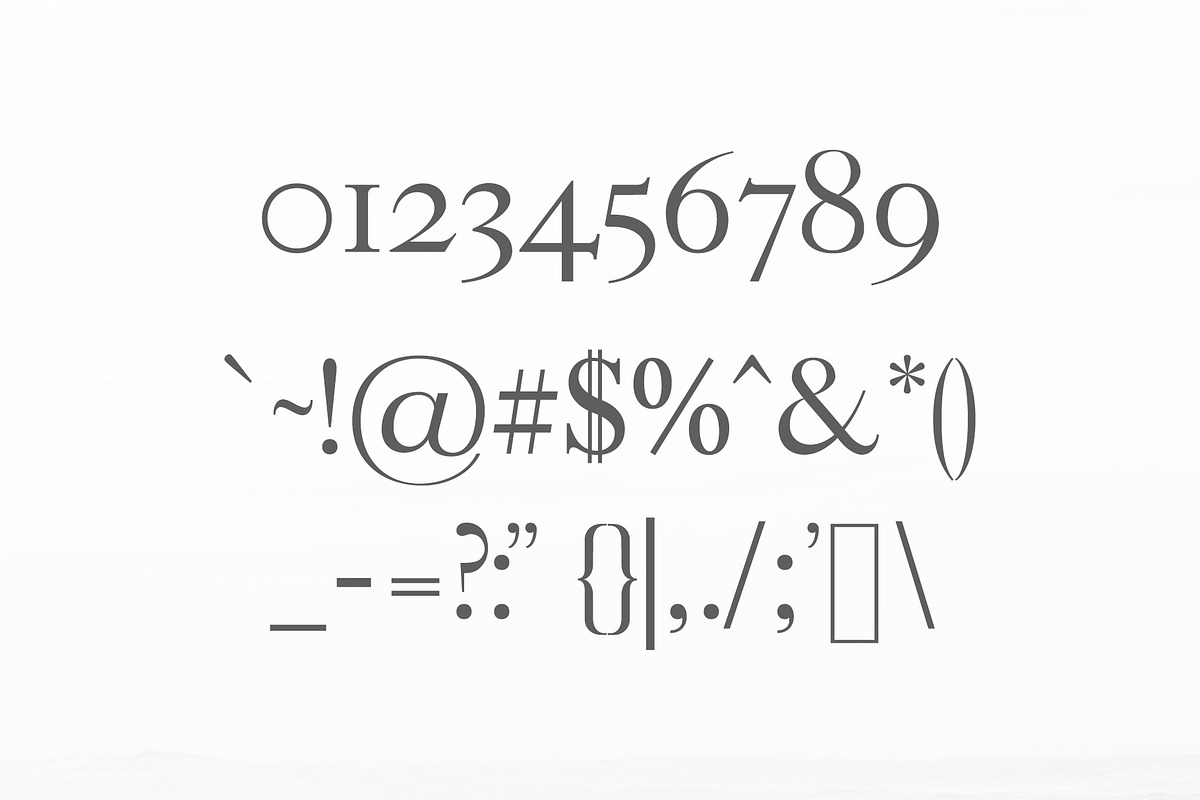 Adallyn Serif Font Family preview 3