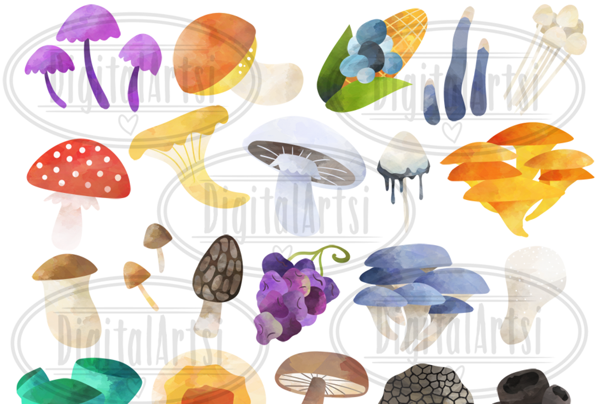 Watercolor Fungi A-Z Clipart, an Illustration by DigitalArtsi (Photo 3 of 4)