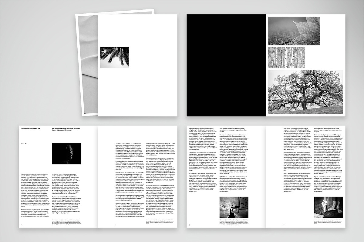 Minimal Black & White Editorial preview 2
