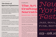 DT Augustina Slab 1 Subfamily, a Slab Serif Font by Deveze Type Foundry (Thumbnail 20 of 31)