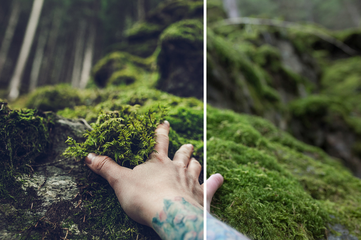 MILLION OF GREEN-Set of 20presets Lr, an Action Add-On by Graphics, Presets, Photos (Photo 18 of 21)