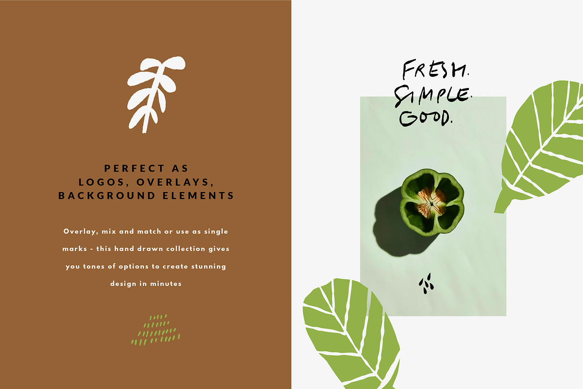FARMERS MARKET | HAND DRAWN SHAPES, a Food Illustration by Favete Art (Photo 15 of 23)