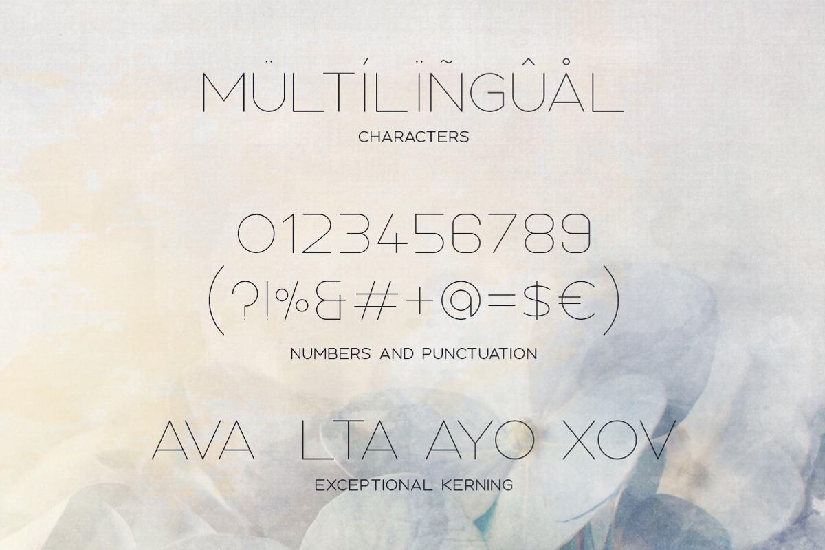 Nectar Typeface, a Sans Serif Font by Tugcu Design Co. (Photo 5 of 5)