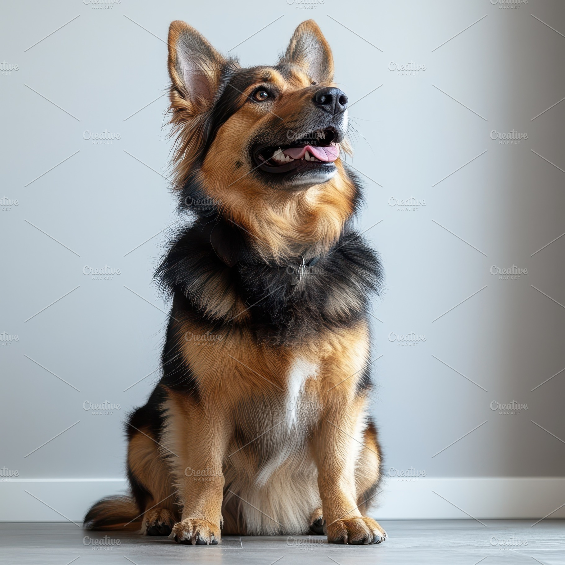 Happy German Shepherd mix dog sittin, an Animal Photo by Pixeness Studio