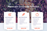 Nutritious Keynote Template, a Presentation Template by Jumsoft (Thumbnail 6 of 21)