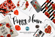 Poppy Mania Watercolor Clip Art Set, a Decorative Illustration by Inna Sinano (Thumbnail 2 of 7)