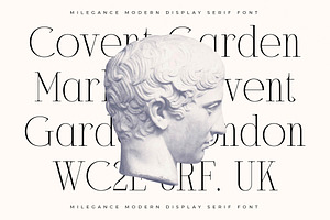 Milegance Modern Display Serif