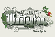 Wasleyton, a Serif Font by uncurve (Thumbnail 1 of 9)