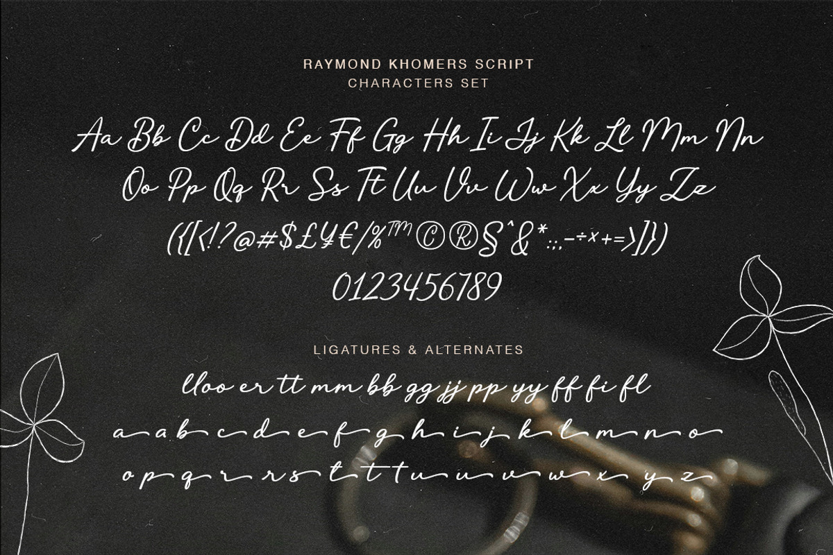 Raymond Khomers, a Sans Serif Font by Fargun Studio (Photo 19 of 22)