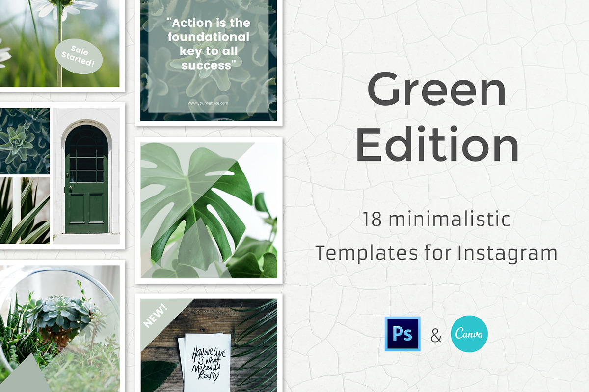 Green - 18 Instagram Templates, a Social Media Template by Annemiek van Luinen (Photo 1 of 8)