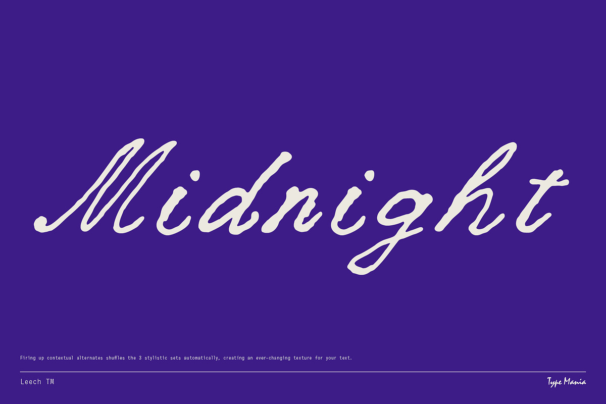 Leech TM – Romantic Script, a Script Font by Type Mania (Photo 6 of 10)