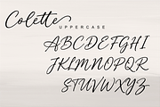 Colette Modern Script, a Handwritten Font by Raffa Creative (Thumbnail 4 of 5)