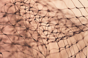 Macro abstract of white nylon netting with warm sunset bokeh background. Intric, an Abstract Photo by Rohan Photography