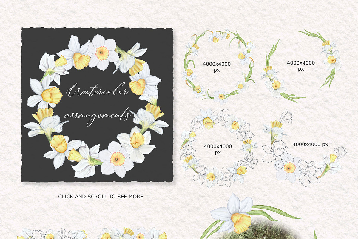 Watercolor and sketch daffodils, a Decorative Illustration by TatiArti (Photo 9 of 13)
