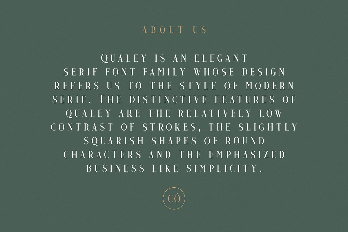 Qualey - Elegant Serif Font preview 2
