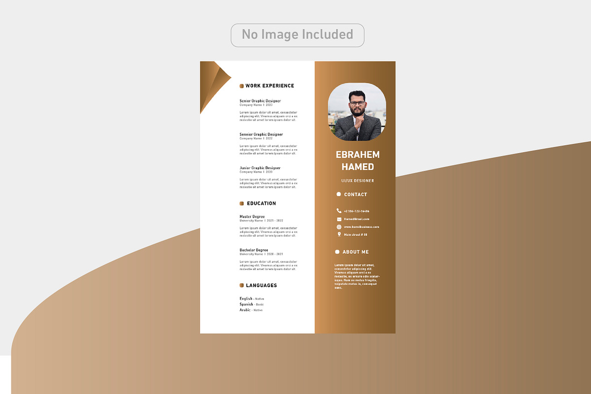 Luxury and simple CV, a Resume Template by Hamed Studio