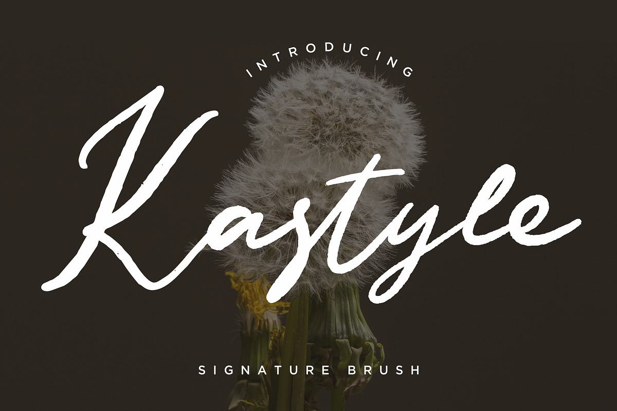 Kastyle Brush Business Font