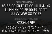 Summer Delight, a Serif Font by InermediaSTUDIO (Thumbnail 3 of 8)