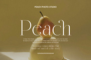 Wegina Minimal Serif Font, a Serif Font by Perfectype (Thumbnail 5 of 8)