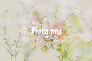 FLORA.PNG | Blurry Flower Collage, an Object Graphic by ana & yvy (Thumbnail 1 of 23)