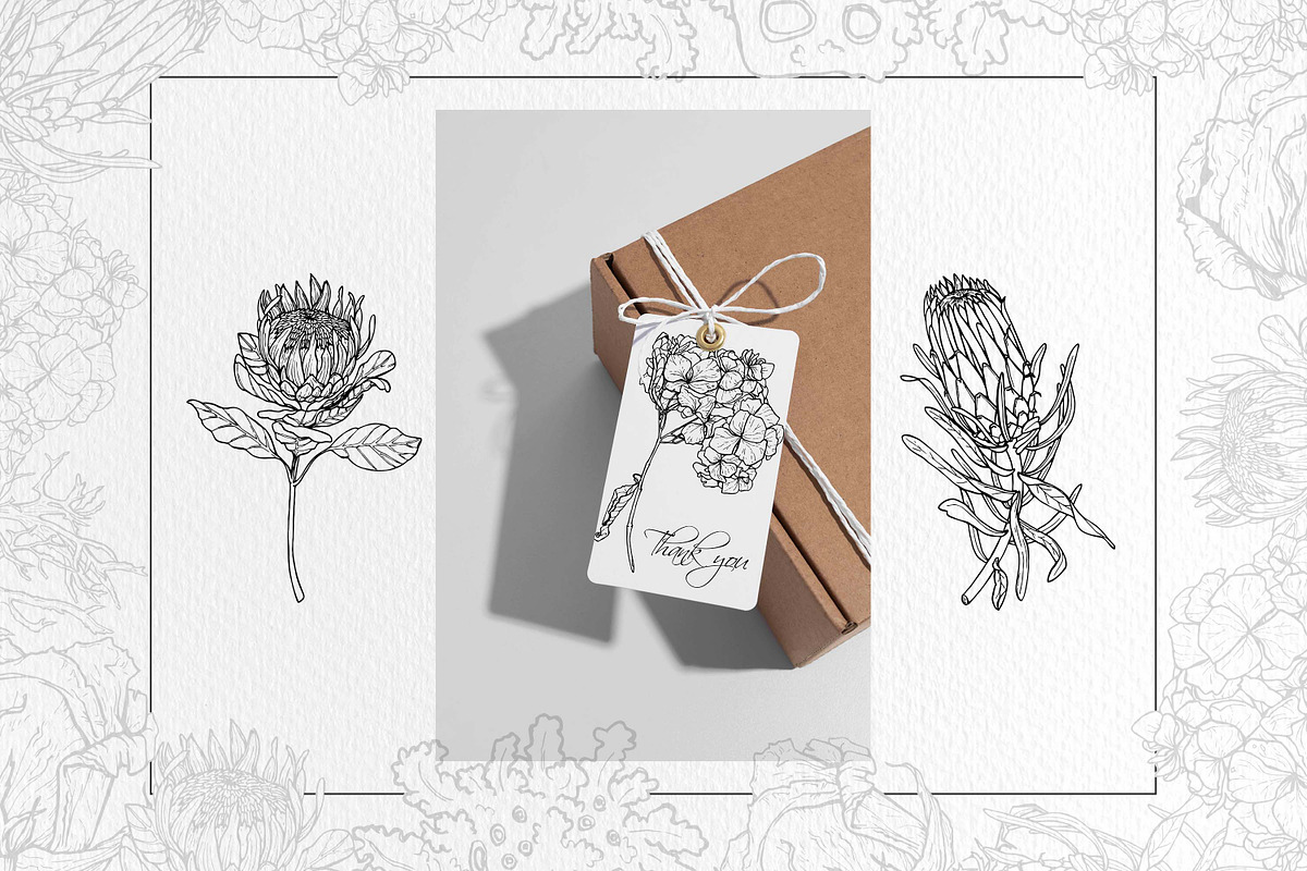 Floral Line Art Clipart, an Illustration by BalanceUA (Photo 6 of 6)