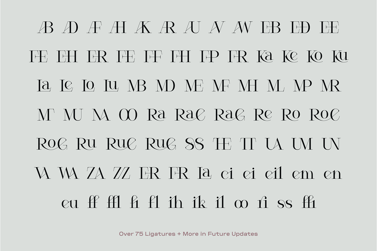 Cesso: Ligature Serif, a Serif Font by That That Creative (Photo 2 of 17)