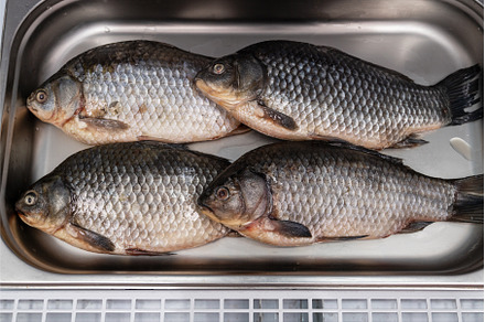 Fresh raw carp fish, a Food & Drink Photo by Jan Jack Russo Media