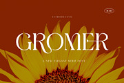 GROMER Elegant Ligature Serif, a Font by Alfinart (Thumbnail 1 of 10)