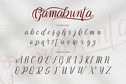 Gamabunta - Luxurious Script Font, a Script Font by Ginart (Thumbnail 5 of 7)