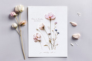Pretty Wildflowers I Pressed Flowers, a Background Graphic by by creative paper (Thumbnail 3 of 14)