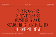 Evertype - Display Serif Font Family, a Serif Font by VP Fonts (Thumbnail 8 of 32)
