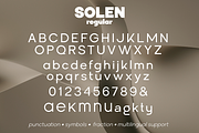 Solen Font Family, a Sans Serif Font by Larin Type Co. (Thumbnail 14 of 14)