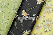 Watercolor Daisy Seamless Patterns, an Illustration by OlDm_Shop (Thumbnail 6 of 10)