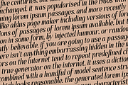 Blafhy Glibs A Modern Serif Font, a Serif Font by Storytype Studio (Thumbnail 3 of 15)