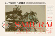 Bornice Modern Serif, a Serif Font by Damelev (Thumbnail 9 of 13)