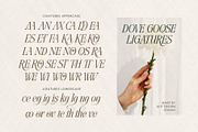 Dove and Goose Typeface, a Serif Font by alit design (Thumbnail 19 of 20)