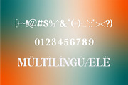 Fishera - Modern Serif Typeface, a Serif Font by Font Kingdom (Thumbnail 10 of 10)
