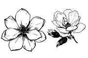 Magnolia SVG - Flowers Line Art SVG, an Object Graphic by Dervik Art Store (Thumbnail 5 of 6)