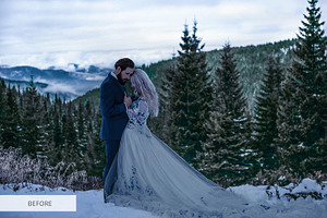 Winter Tale Presets